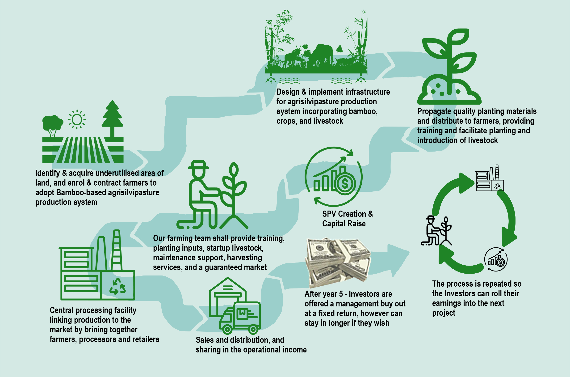 process flow of Bambou Planting